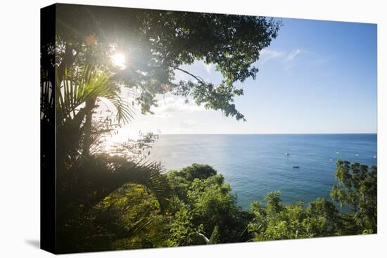 Sunset at Castara Bay in Tobago, Trinidad and Tobago, West Indies, Caribbean, Central America-Alex Treadway-Premier Image Canvas