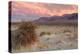 Sunset at Devil's Cornfield-Vincent James-Premier Image Canvas