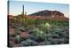 Sunset At Lost Dutchman State Park In Arizona-Erik Kruthoff-Premier Image Canvas