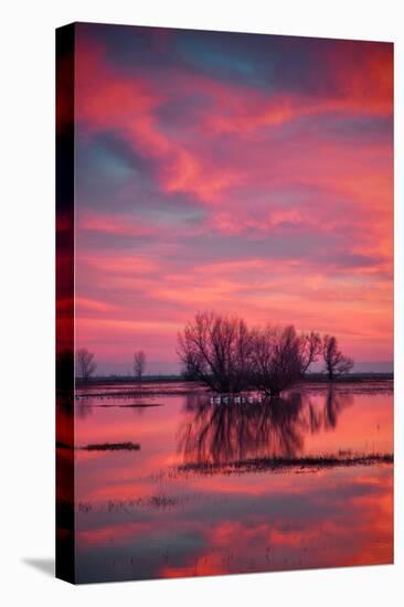 Sunset at Merced Wildlife Area-null-Premier Image Canvas