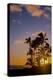 Sunset at Poipu Beach, Kauai, Hawaii, USA-Richard Duval-Premier Image Canvas