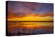 Sunset at Quivira National Game Refuge-Michael Scheufler-Premier Image Canvas