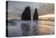 Sunset at Rialto Beach, La Push, Clallam county, Washington State-francesco vaninetti-Premier Image Canvas
