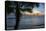 Sunset at Savannah Beach, Christ Church, Barbados, West Indies, Caribbean, Central America-Frank Fell-Premier Image Canvas