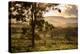 Sunset at the Gate of a Bonito Farm, with Rolling Hills in the Background-Alex Saberi-Premier Image Canvas