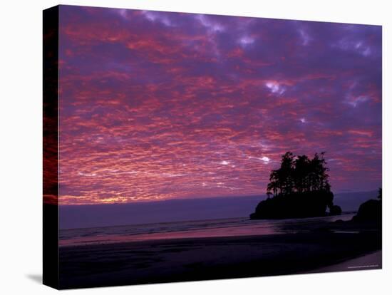 Sunset at Tounge Point, Olympic National Park, Washington, USA-null-Premier Image Canvas
