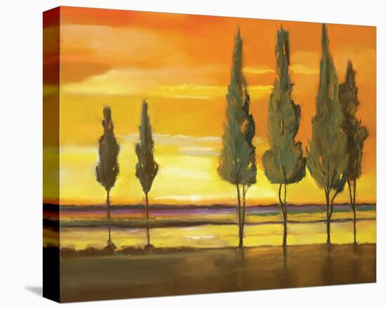 Sunset at Water's Edge-Judith D'Agostino-Stretched Canvas