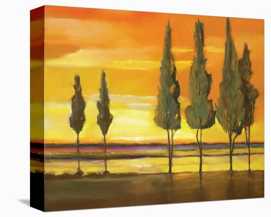 Sunset at Water's Edge-Judith D'Agostino-Stretched Canvas