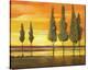 Sunset at Water's Edge-Judith D'Agostino-Stretched Canvas