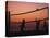 Sunset Beach Volleyball-Mitch Diamond-Premier Image Canvas