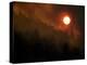 Sunset Breaks Through Smoke of the Hayman Wildfire-null-Premier Image Canvas