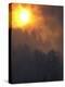 Sunset Breaks Through Smoke of the Hayman Wildfire-null-Premier Image Canvas