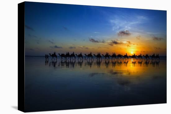 Sunset Camel Ride-Louise Wolbers-Premier Image Canvas