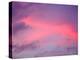 Sunset, Florida, USA-Lisa S. Engelbrecht-Premier Image Canvas