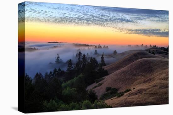 Sunset Flow and Hills at Mount Tamalpais, Marin, Bay Area, California-Vincent James-Premier Image Canvas