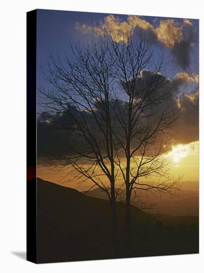 Sunset from Appalachian Trail, Shenandoah National Park, Virginia, USA-Charles Gurche-Premier Image Canvas