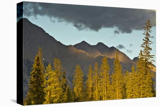 Sunset, from Kicking Horse River, Canadian Rockies, Yoho National Park, British Columbia, Canada-Michel Hersen-Premier Image Canvas