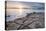 Sunset from, Washington State Park Anacortes, Washington State-Alan Majchrowicz-Premier Image Canvas