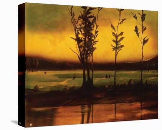 Sunset Glow-Judith D'Agostino-Stretched Canvas