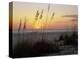 Sunset, Gulf Coast, Longboat Key, Anna Maria Island, Beach, Florida, USA-Fraser Hall-Premier Image Canvas