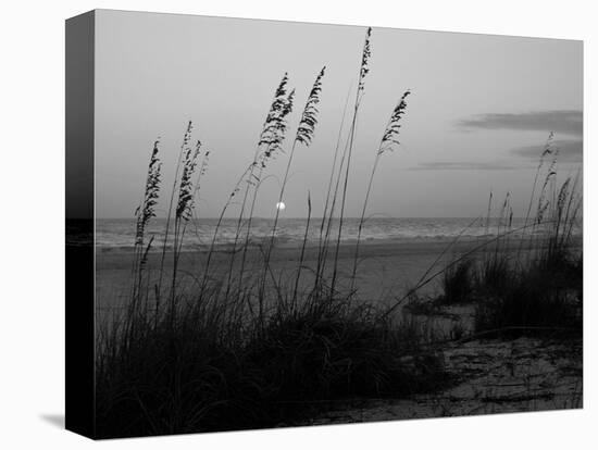 Sunset, Gulf Coast, Longboat Key, Anna Maria Island, Beach, Florida, USA-Fraser Hall-Premier Image Canvas