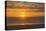 Sunset, Heceta Beach, Oregon Coast, Pacific Ocean, Oregon, USA.-Michel Hersen-Premier Image Canvas