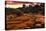 Sunset Image of Cathedral Rock.-diro-Premier Image Canvas