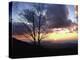 Sunset in Blue Ridge Mountains, Shenandoah National Park, Virginia, USA-Charles Gurche-Premier Image Canvas