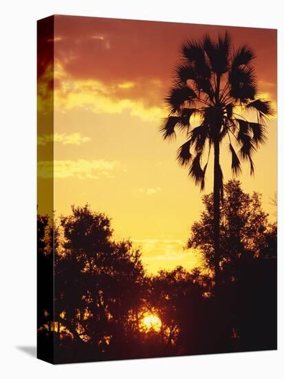 Sunset in Botswana-Stuart Westmorland-Premier Image Canvas
