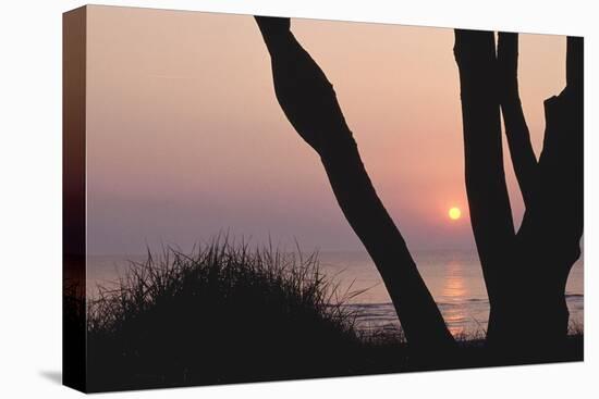 Sunset in Front of the Western Beach of Darss-Uwe Steffens-Premier Image Canvas