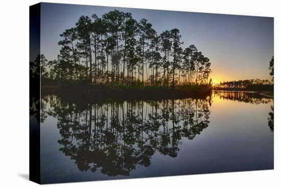 Sunset in Long Pine Area of Everglades NP-Terry Eggers-Premier Image Canvas