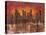 Sunset in New York-Luigi Florio-Stretched Canvas