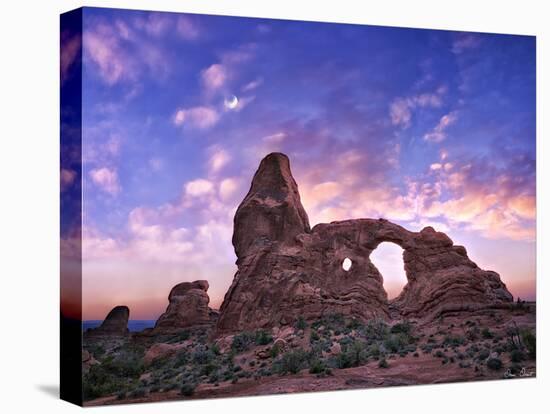 Sunset in the Desert I-David Drost-Premier Image Canvas