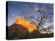 Sunset in the Desert II-David Drost-Premier Image Canvas