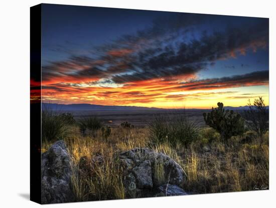 Sunset in the Desert IV-David Drost-Premier Image Canvas