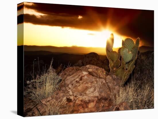 Sunset in the Desert V-David Drost-Premier Image Canvas