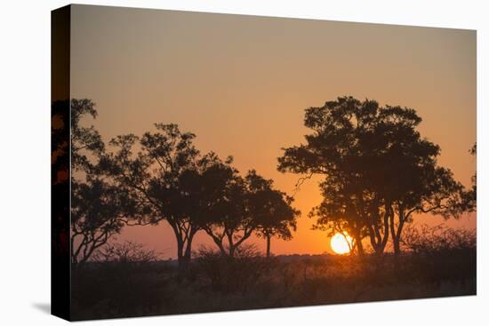 Sunset in the Savuti marsh, Botswana, Africa-Sergio Pitamitz-Premier Image Canvas