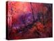 Sunset In The Wood-Pol Ledent-Stretched Canvas