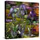 Sunset Irises-Mindy Sommers-Premier Image Canvas
