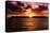 Sunset Key West - Florida-Philippe Hugonnard-Premier Image Canvas