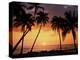 Sunset, Kohala Coast, Island of Hawaii, Hawaiian Islands, USA-null-Premier Image Canvas