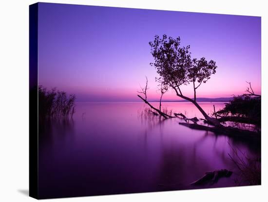 Sunset Lake. this Photo Make in Hungary. Sunset Whit Balaton-hofhauser-Premier Image Canvas