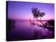 Sunset Lake. this Photo Make in Hungary. Sunset Whit Balaton-hofhauser-Premier Image Canvas