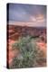 Sunset Landscape By The Colorado River, Page Arizona-Vincent James-Premier Image Canvas