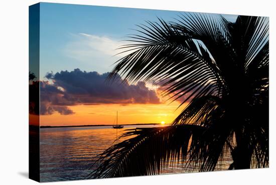 Sunset Landscape with a Yacht - Miami - Florida-Philippe Hugonnard-Premier Image Canvas