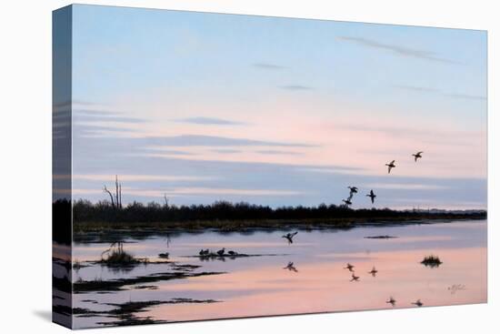 Sunset March Black Ducks-Wilhelm Goebel-Premier Image Canvas