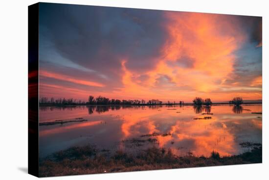Sunset Marsh Reflections at Merced Wildlife Refuge, Central California-Vincent James-Premier Image Canvas
