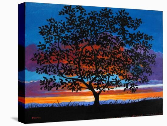 Sunset Oak-Patty Baker-Stretched Canvas