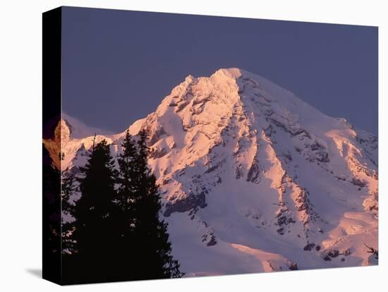 Sunset on Mount Rainier-John McAnulty-Premier Image Canvas