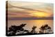 Sunset on Ocean, La Jolla, California, USA-Jaynes Gallery-Premier Image Canvas